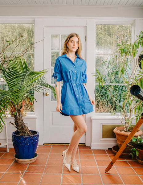 Shannon Mini Dress