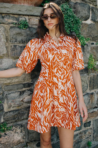 Terracotta Zebra Shirt Dress