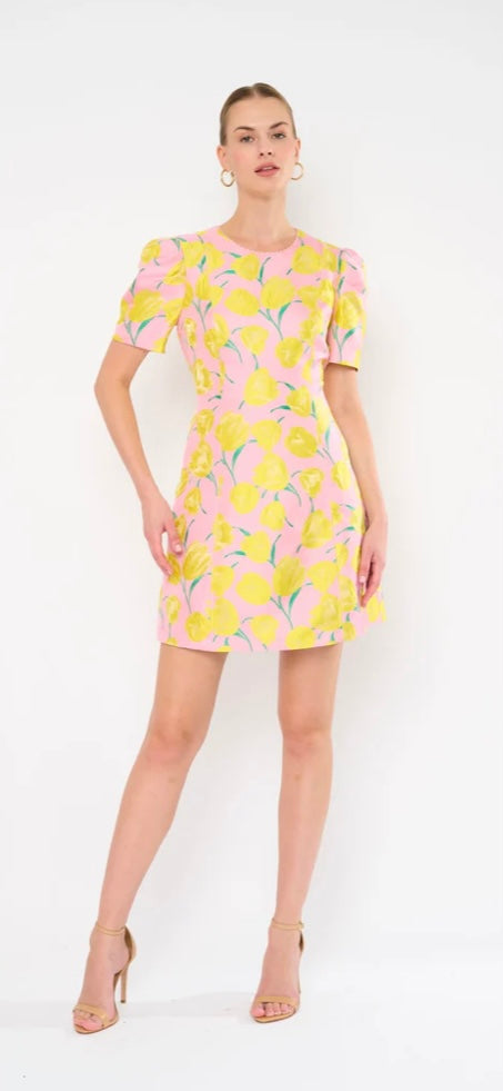 Tulip Day Mini Dress - Flora Bea