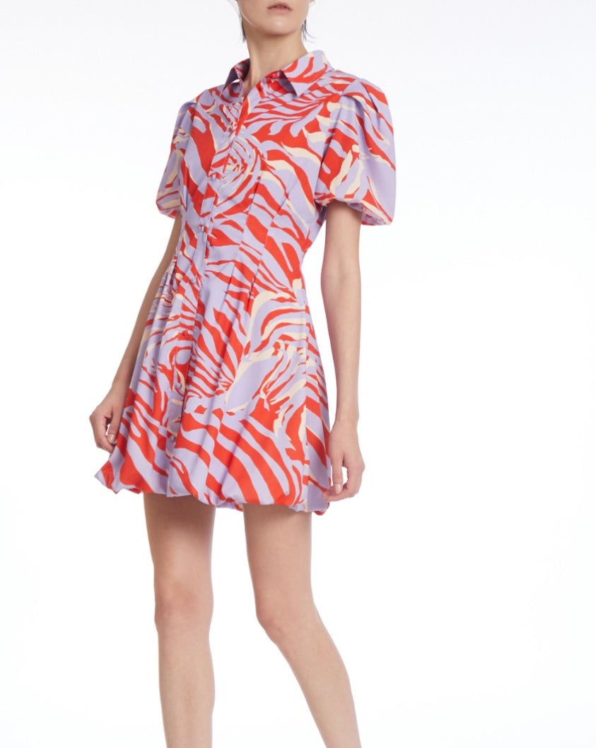 Zebra print fit and flare dress by One33 Social.