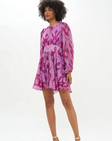 Chitka Mini Dress